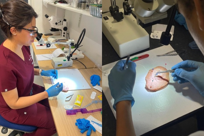 Basic and advanced oculoplastics wet-lab
